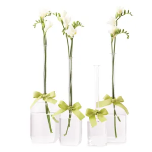 Sleek & Chic Jug Vases
