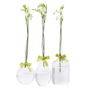 Sleek & Chic Vase Trio